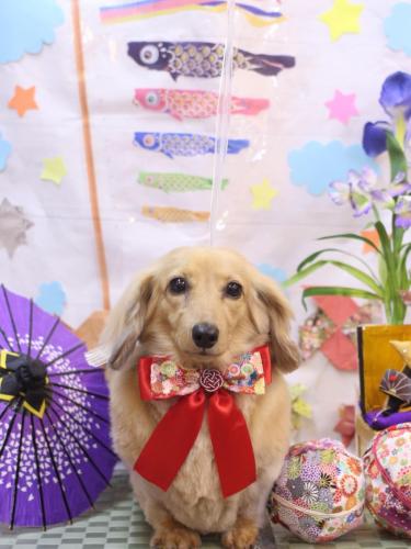 20240511モカちゃん